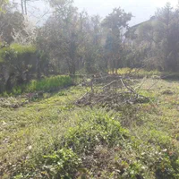 فروش زمین ۳۴۳ متری