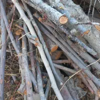 فروش چوب وهیزم  خشک