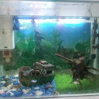 آکواریوم با لوازم