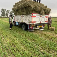 کارگر جهت بارگیری