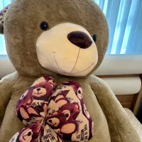 عروسک خرسی نو  ۲ متری|اسباب‌بازی بچه|مشهد, احمدآباد|دیوار