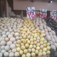 کارگر ماهر میوه فروشی