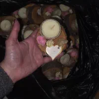 گیفت برای جشن عروسی یا...