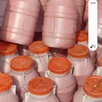 نمایندگی عمده کلوچه سنتی رضوی