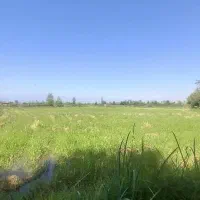 208متر کامل مسکونی|فروش زمین و ملک کلنگی|فومن, |دیوار