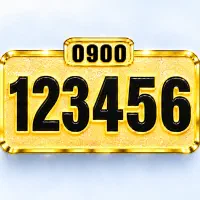 6 5 4 3 2 1 0900 خـط استثنــایــی ( VIP )
