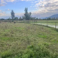 فروش-زمین-روستای-چسبیده-ماسال-ارتفاعات-گورابزرمیخ