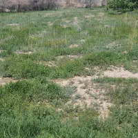 مشارکت در ساخت۶۳۵متر زمین گوهردشت کوثر