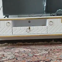 زیر تلویزیونی