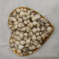 موسیر بذری|گل و گیاه طبیعی|اصفهان, محمودآباد|دیوار