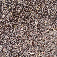 بذرکلزا هیولا50 دستی