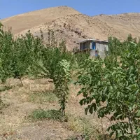 فروش زمین کشاورزی|فروش دفتر صنعتی، کشاورزی، تجاری|موچش, |دیوار