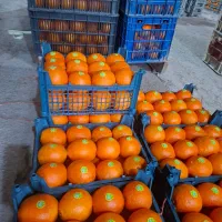 2 تن تامسون انباری