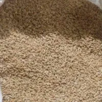 سه کیسه گندم نونی ۵۵تومان کیلویی