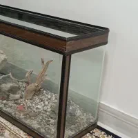 آکواریوم ابعاد ۲*60