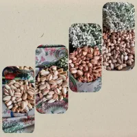 فروش پسته ویژه شب یلدا|خوردنی و آشامیدنی|هشتگرد, شهرک ولیعصر (مصلی)|دیوار