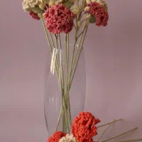 گلهای بافتنی مدیترانه ای