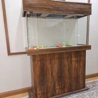 آکواریوم شیشه خم با درب و پایه|ماهی|کرج, فاز ۴ مهرشهر|دیوار