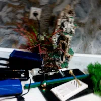 لوازم اکواریوم|ماهی|پاکدشت, پاکدشت (مامازند)|دیوار