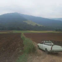 حمل بار پیکان وانت کلاله گلستان ایران|خدمات حمل و نقل|کلاله, |دیوار