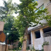 پل رومی ۸۱م مشاعات دار اوقاف/نقدینگی دارید درخدمتم|فروش آپارتمان|تهران, تجریش|دیوار