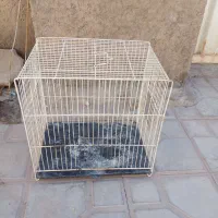 پرنده. قفس معمولی و جوجه پران|لوازم جانبی حیوانات|رفسنجان, |دیوار