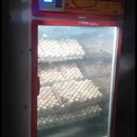 دستگاه جوجه کشی ۱۰۰۰۰ تایی بلدرچین