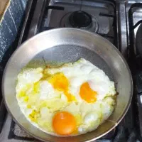 جذب نماینده پخش و فروش تخم مرغ بسته بندی  «تنگاب»|استخدام بازاریابی و فروش|شیراز, هفت تنان|دیوار