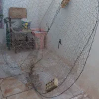 تور گرگوری ماهیگیری