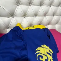 لباس ووشو|لباس|شیراز, فرهنگ شهر|دیوار