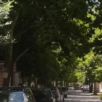 مغازه-بازارچه-ستارخان-50-متر