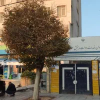 استخدام نیروی خانم جهت کار در دفتر پیشخوان دولت