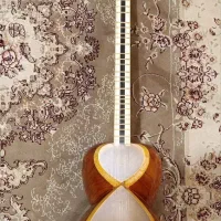 تار استاد درگاهی