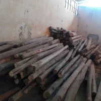 انواعچوبچناروضایعاتخریدارم|عمدهفروشی|ماهیدشت, |دیوار