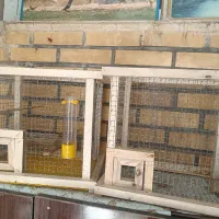 قفس پرنده|لوازم جانبی حیوانات|سمیرم, |دیوار