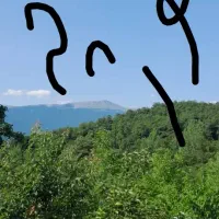 فروش زمین 400متری در دریاچه لفور