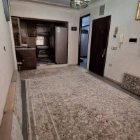 81مترمحمدشهر