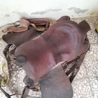 زین اسب