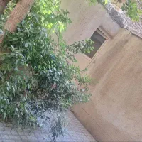 آپارتمان ۱۲۵متری همکف با پارکینگ اختصاصی|فروش آپارتمان|مشهد, انقلاب|دیوار