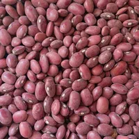 فروش لوبیا قرمز