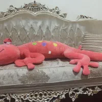 عروسک|اسباب‌بازی بچه|شهریار, شهریار|دیوار