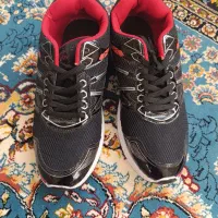 دو جفت کفش|کیف، کفش، کمربند|آشخانه, |دیوار