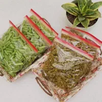 محصولات خانگی ژیار|خوردنی و آشامیدنی|قم, چهل اختران|دیوار