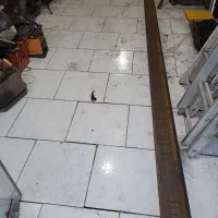 قوطی ۱۲×۱۲ اهن ۵متری