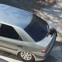 زانتیا مدل ۸۴