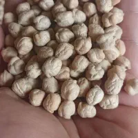 نخود درجه1