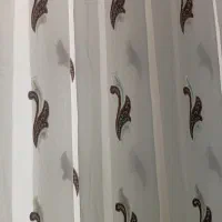 پرده|پرده، رانر، رومیزی|فریمان, |دیوار