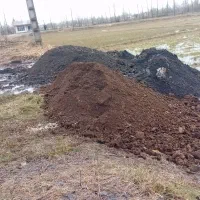 کود دامی|خدمات باغبانی و درختکاری|رشت, پارک شهر|دیوار