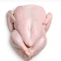 مرغ گرم و تازه
