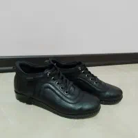 کفش واکس خور|کیف، کفش، کمربند|هشتگرد, هشتگرد قدیم|دیوار